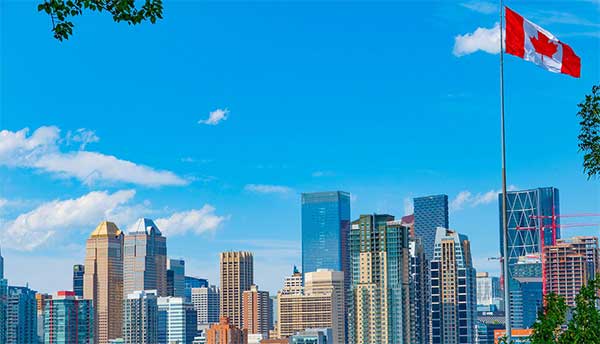 visa immigration and consultants