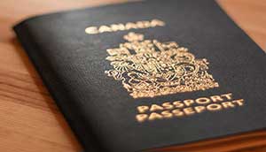 visa immigration and consultants